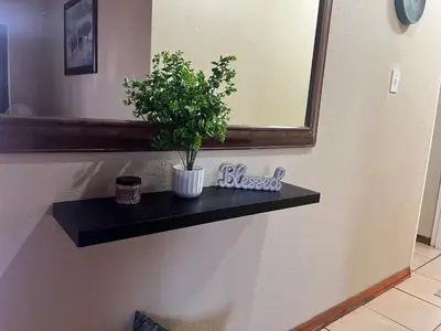 a black shelf with a potted plant on a wall at Guesthouse at 543 in Lebowakgomo
