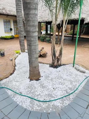 a green hose is connected to a palm tree at Harmony Spaces in Kempton Park
