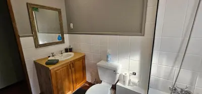a bathroom with a toilet and a sink and a mirror at Chestnut at Greenway Woods in White River