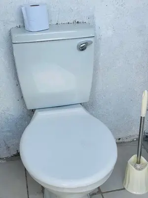 a white toilet with a roll of toilet paper on it at De whytehouse Mogalatsane in Marble Hall