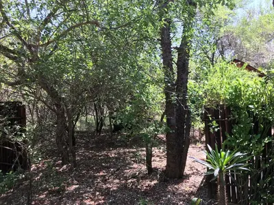 a wooded area with trees and a fence at Holidayhouse Mhofu closeby Kruger National Park, South Africa in Marloth Park