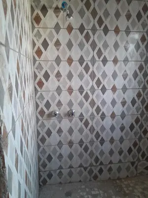 a bathroom with a tiled wall with a shower at One night in Burgersfort