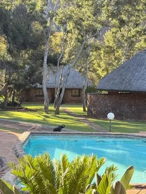 a black cat sitting next to a swimming pool at Soutpansberg Lodge Louis Trichardt