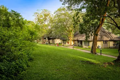 a yard with a house and trees in the background at Sanbonani Resort Chalets in Hazyview