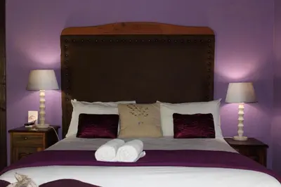 a bedroom with a large bed with purple walls at Makarios Lodge in Polokwane