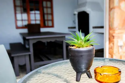 a plant in a pot sitting on top of a table at Raasblaar at Benlize in Broederstroom