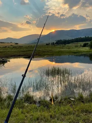a pole in the middle of a field with a lake at Wagenbietjieshoek Wilgekraal Farmhouse in Lydenburg