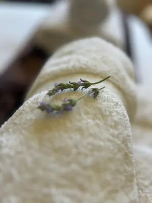 a piece of bread with purple flowers on it at Wagenbietjieshoek Wilgekraal Farmhouse in Lydenburg