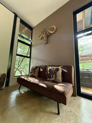 a brown couch in a room with an elephant on the wall at Sunset Bush Retreat & Safari's in Marloth Park