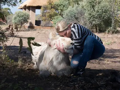 a woman is hugging a white goat at Lion and Cheetah Sanctuary in Cullinan