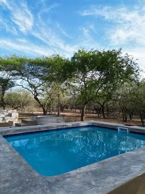 a blue swimming pool with trees in the background at Dung Beetle Bush Villa in Marloth Park