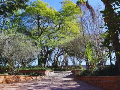 a path in a park with trees in the background at Glory Hill Lodge in White River