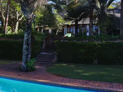 a house with a palm tree next to a swimming pool at Glory Hill Lodge in White River
