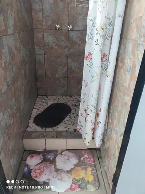 a bathroom with a shower with a black cat in it at The Croc Backpackers in Springs