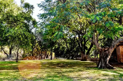 a park with a lot of trees and grass at Twin Bed Room in Steelpoort