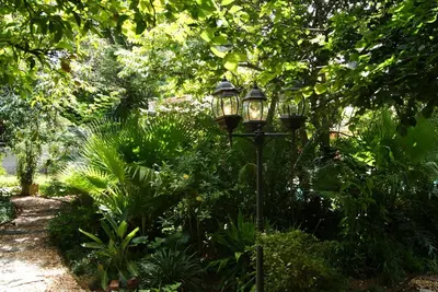 a street light in the middle of a garden at Mukurumanzi Lodge in Polokwane