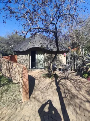 a house with a tree in front of it at Aloe Bush Game Lodge in Marble Hall
