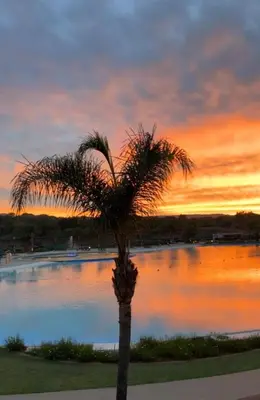 a palm tree in front of a lake at sunset at The Blyde Crystal lagoon 3-bed entire apartment in Pretoria