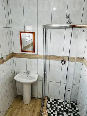 a bathroom with a sink and a shower at De Mose Family Lodge in KwaZibukwane