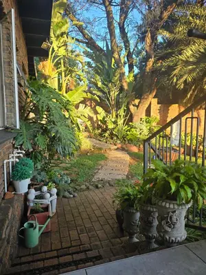 a garden with potted plants next to a house at Sunset View in Pretoria