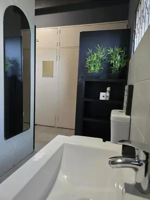 a bathroom with a sink and two potted plants on a wall at Sunset View in Pretoria
