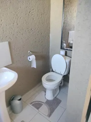 a bathroom with a toilet and a sink at Mantsho Lagoon