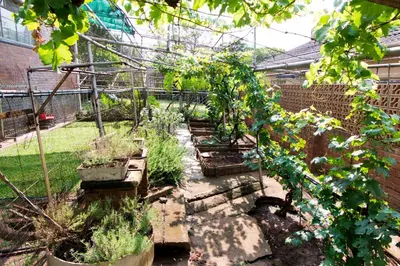 a garden with a bunch of plants in it at Luisa's Place in Pretoria