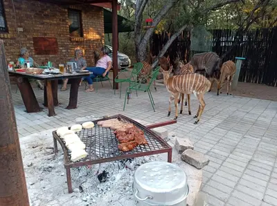 a deer standing next to a grill with meat on it at IFAFA732 Akkommodasie in Leeupoort