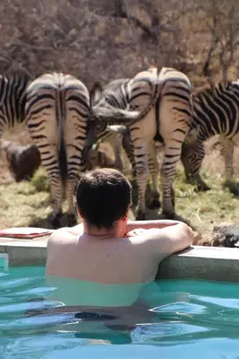 a man in a pool of water looking at zebras at Leadwood Marloth Lodge in Marloth Park