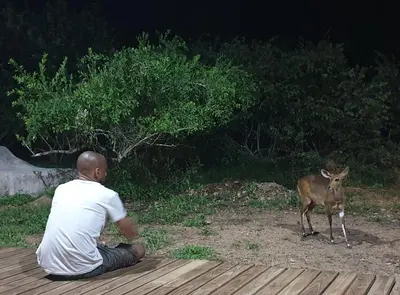 a man sitting on a deck looking at a deer at Leadwood Marloth Lodge in Marloth Park