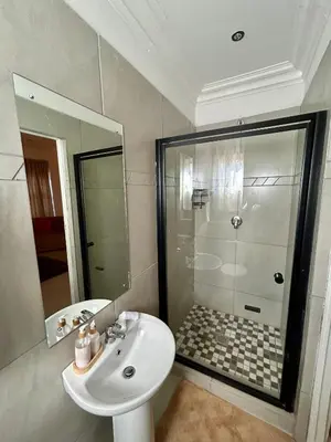 a bathroom with a shower and a white sink at The Homestead on Nutmeg in Pretoria