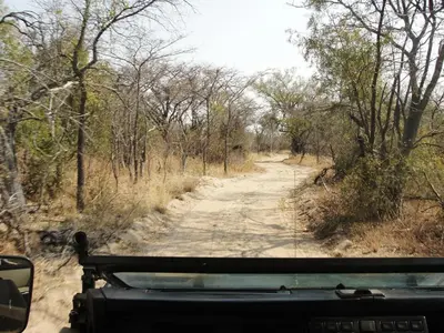 a view of a dirt road from a vehicle at Mabula Game Reserve in Welbekend