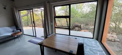 a living room with a view of a deer through the windows at Bush Serenity Studio in Marloth Park
