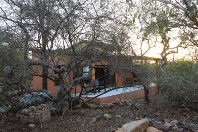 a house with a tree in front of it at Bush Serenity Studio in Marloth Park