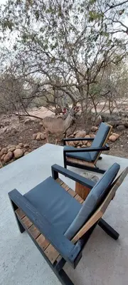 a couple of lounge chairs and a laptop on a table at Bush Serenity Studio in Marloth Park