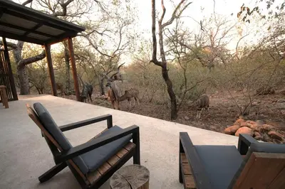 a table and chairs on a porch with animals in the background at Bush Serenity Studio in Marloth Park