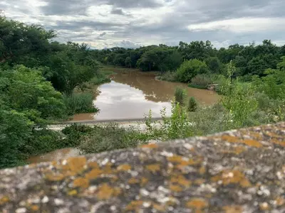 a view of a river with trees at Afpak in Barberton