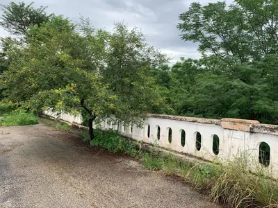 a wall with a tree next to a road at Afpak in Barberton