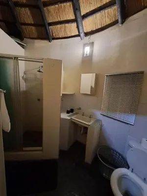 a bathroom with a sink and a shower and a toilet at Afpak in Barberton