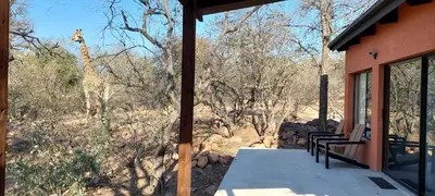 a porch of a house with a giraffe in the background at Rock'N Round Marloth Lodge in Marloth Park