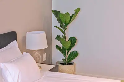 a potted plant sitting on a bed next to a lamp at Menlyn Maine Luxury Studio King Bed Free parking 133 in Pretoria