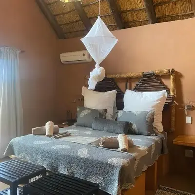Zebula - African Dream B - Pax 6