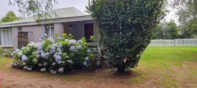 a bush of flowers in front of a house at DullVino Wellington House in Dullstroom