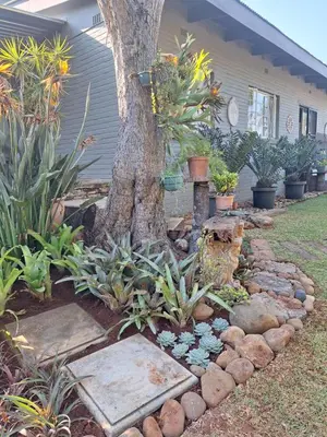 a garden with a tree and some plants and rocks at Palm House Accommodation White River in White River