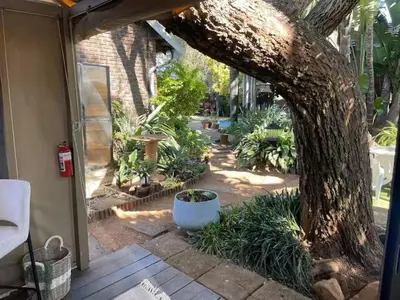 a tree sitting on a patio next to a house at African Paradise - Garden Glamping - Outdoor Shower in Benoni