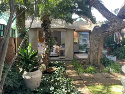 a backyard with a palm tree and a house at African Paradise - Garden Glamping - Outdoor Shower in Benoni