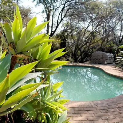 Ndlovu 41 inside the Dinokeng Big 5 Game Reserve
