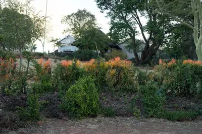 a garden with orange flowers in front of a house at Eagles View in Hartbeespoort