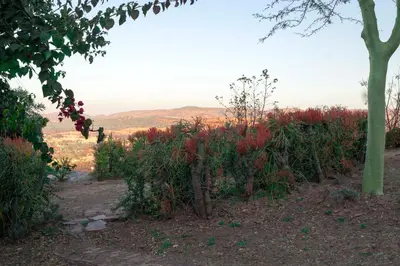 a garden with red plants on the side of a hill at Eagles View in Hartbeespoort