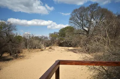a view of a dirt road from a wooden bridge at Bush Babies Camp in Cambridge